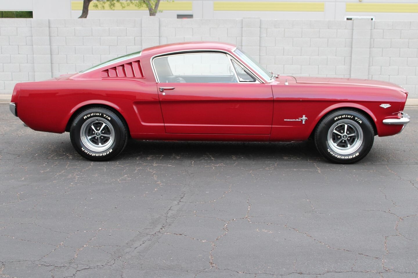 Ford-Mustang-1965-Other-1