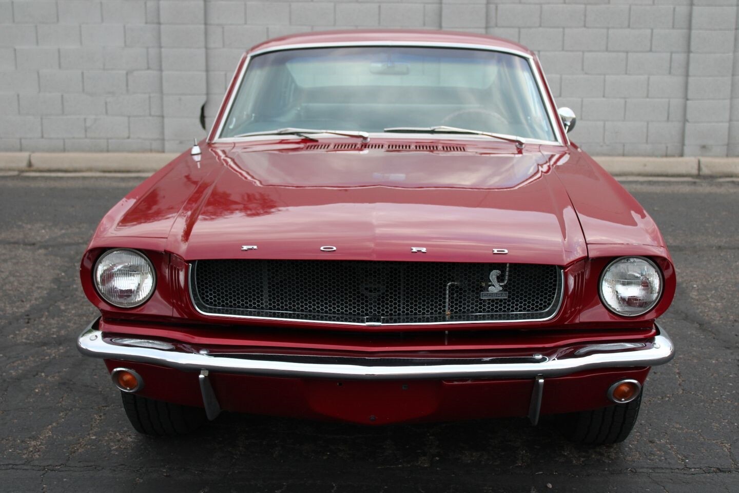 Ford-Mustang-1965-Other-10