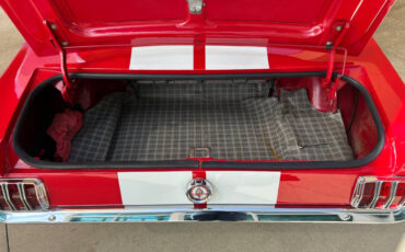 Ford-Mustang-1965-Wagon-7