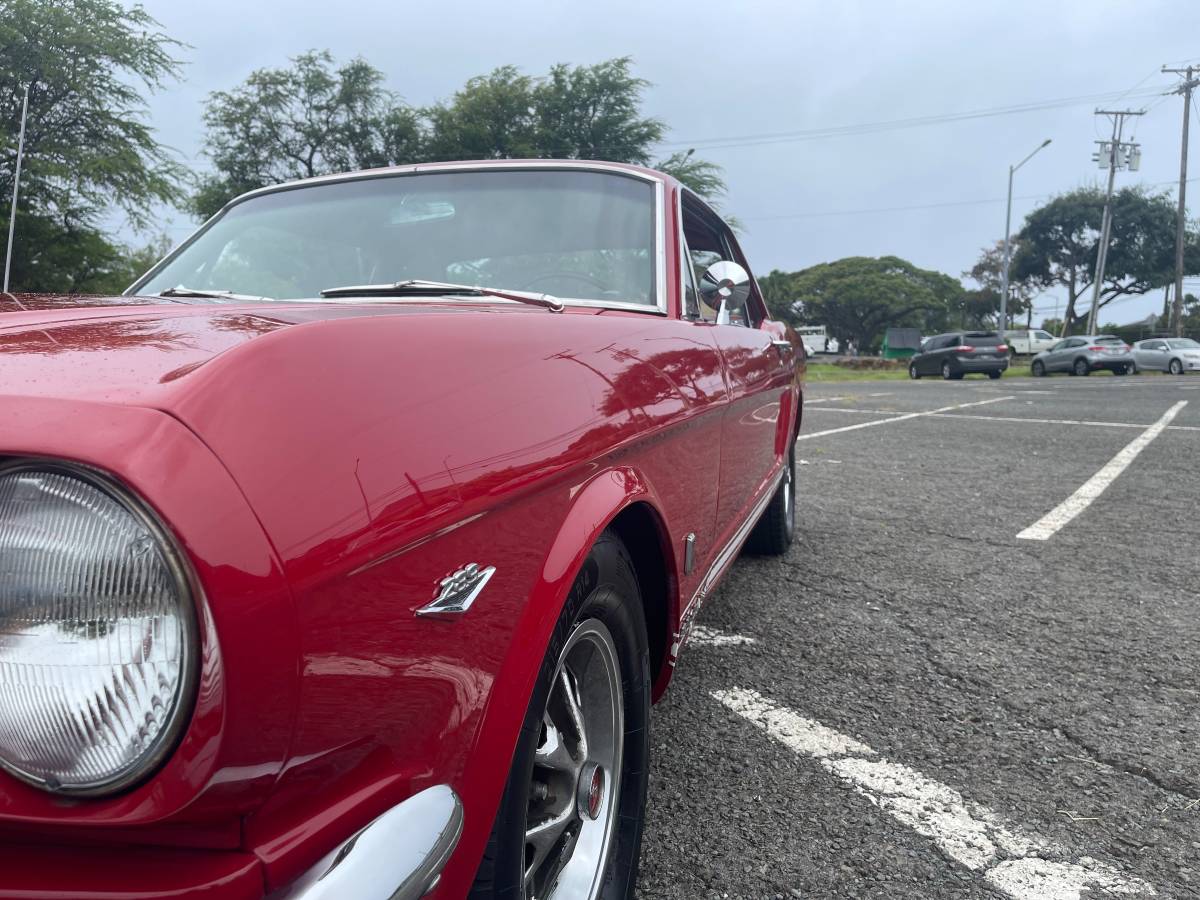 Ford-Mustang-1966-10