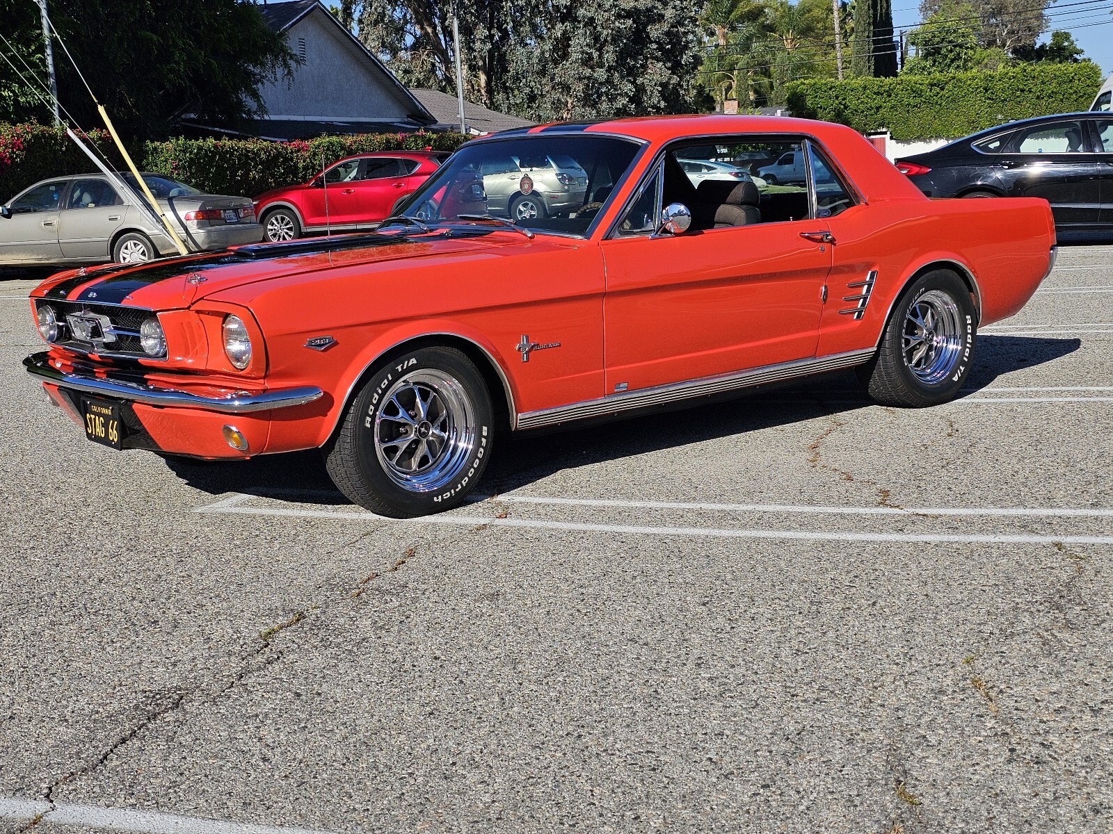 Ford-Mustang-1966-13