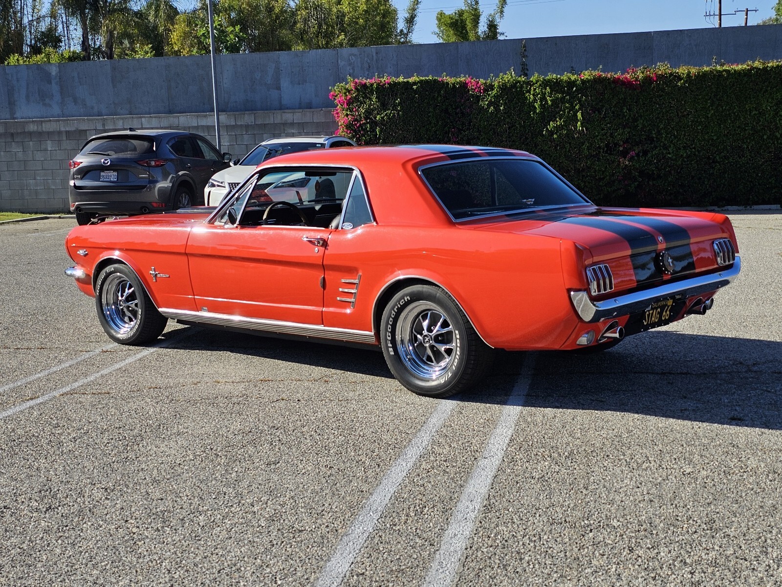 Ford-Mustang-1966-15