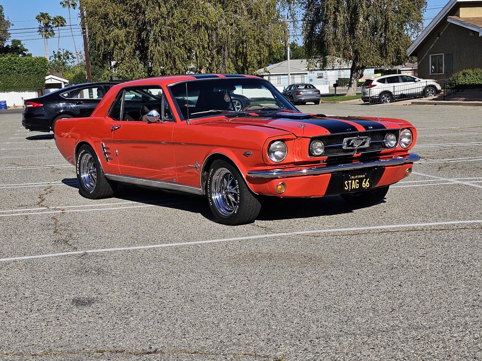 Ford-Mustang-1966-2