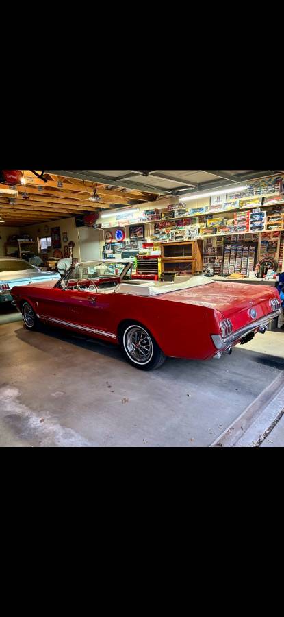 Ford Mustang  1966