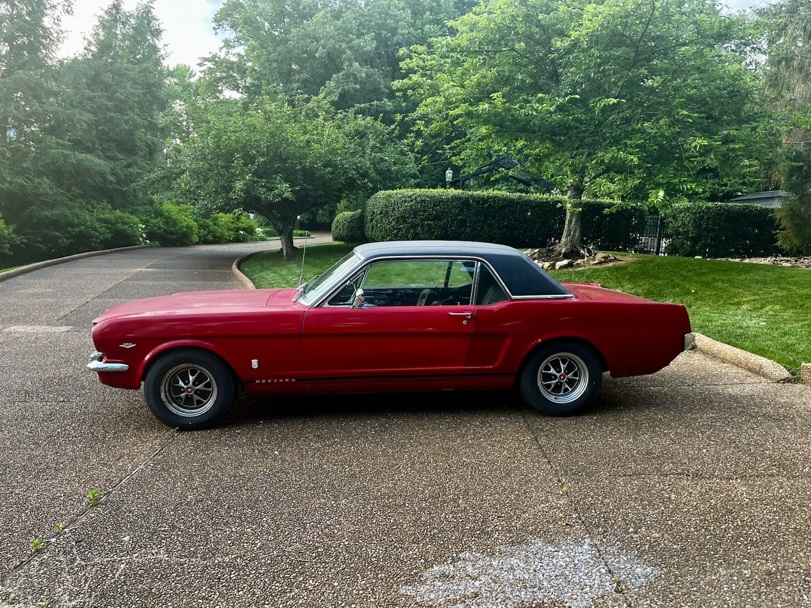 Ford-Mustang-1966-Coupe-3