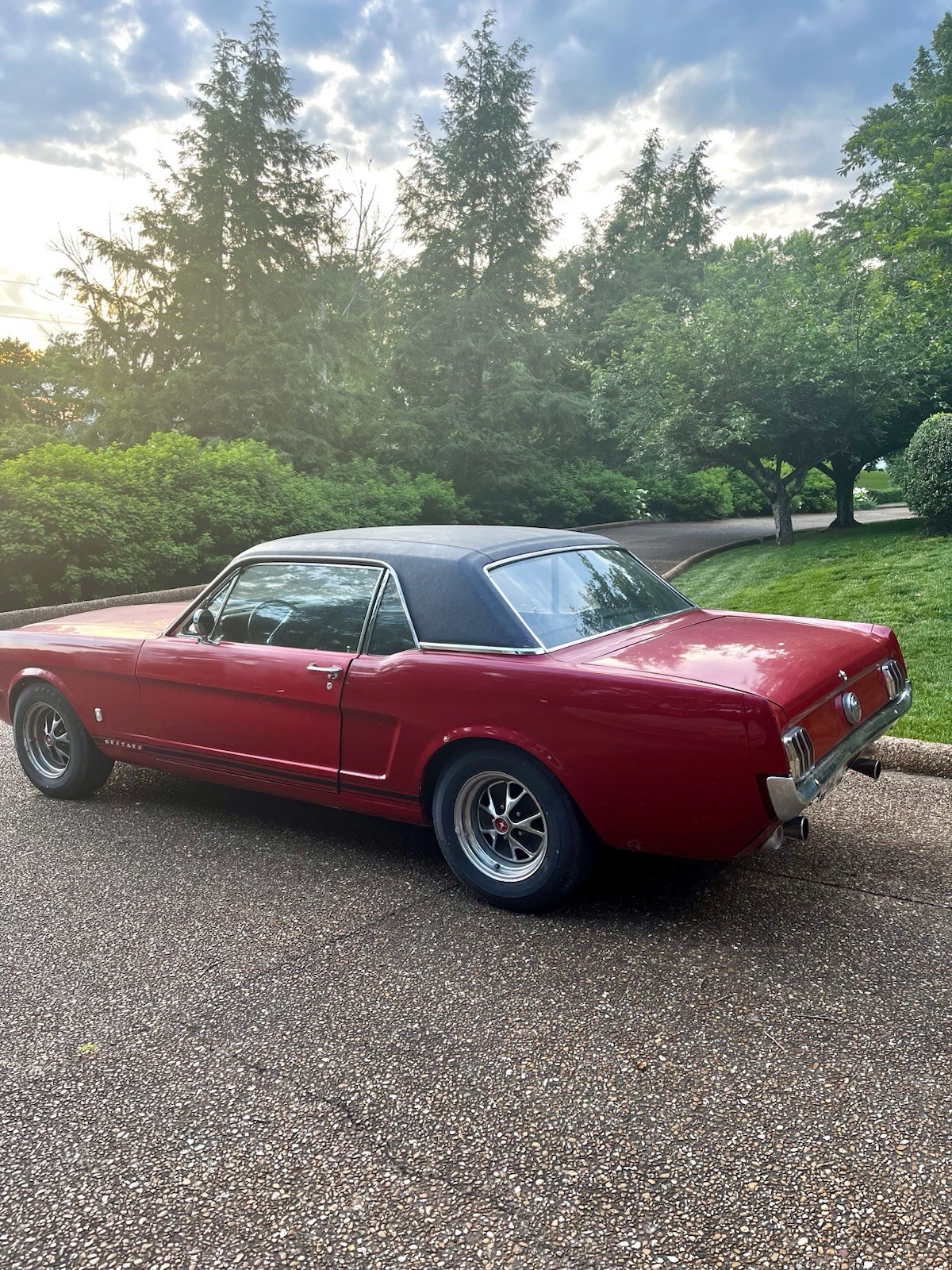 Ford-Mustang-1966-Coupe-5