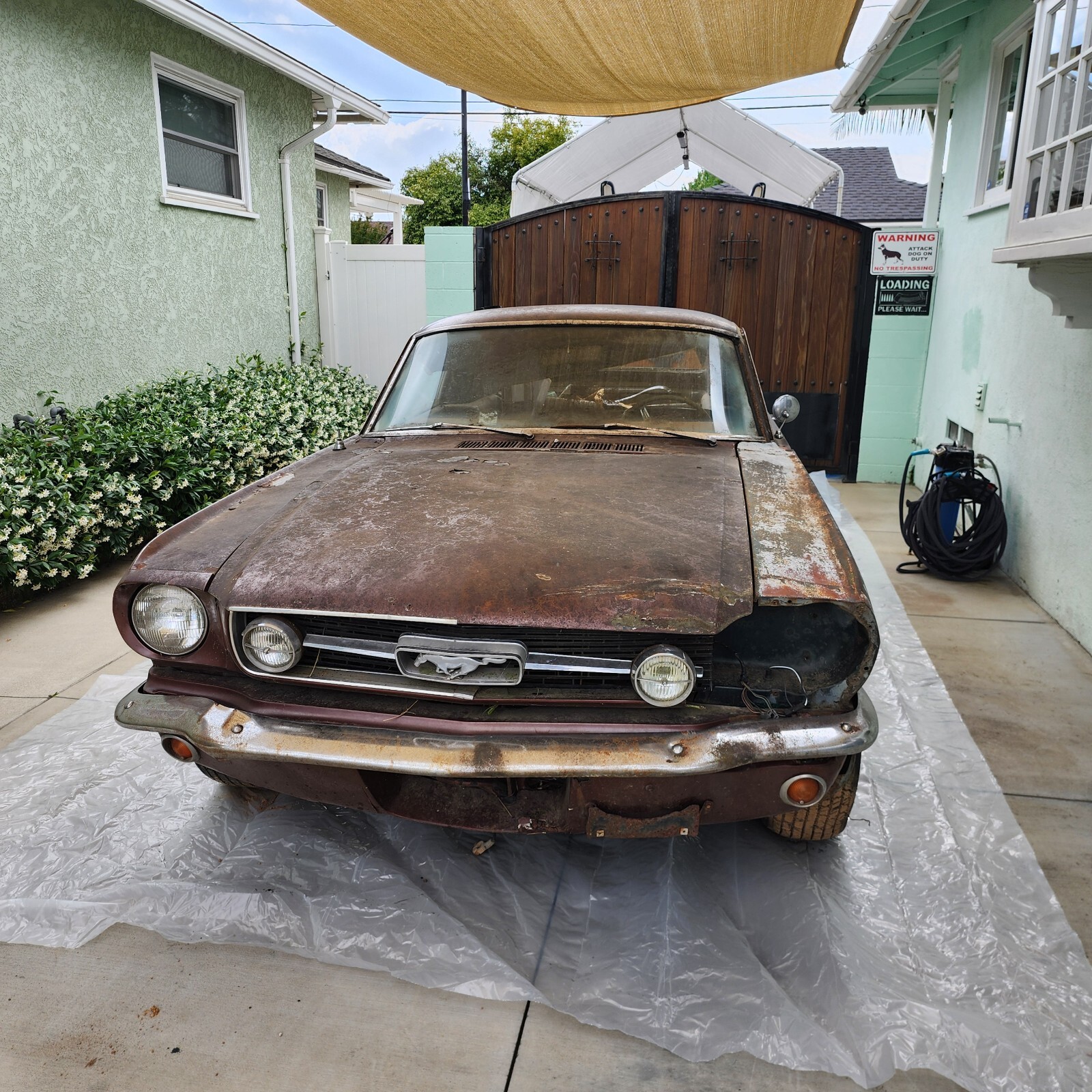 Ford-Mustang-1966-Fastback-12