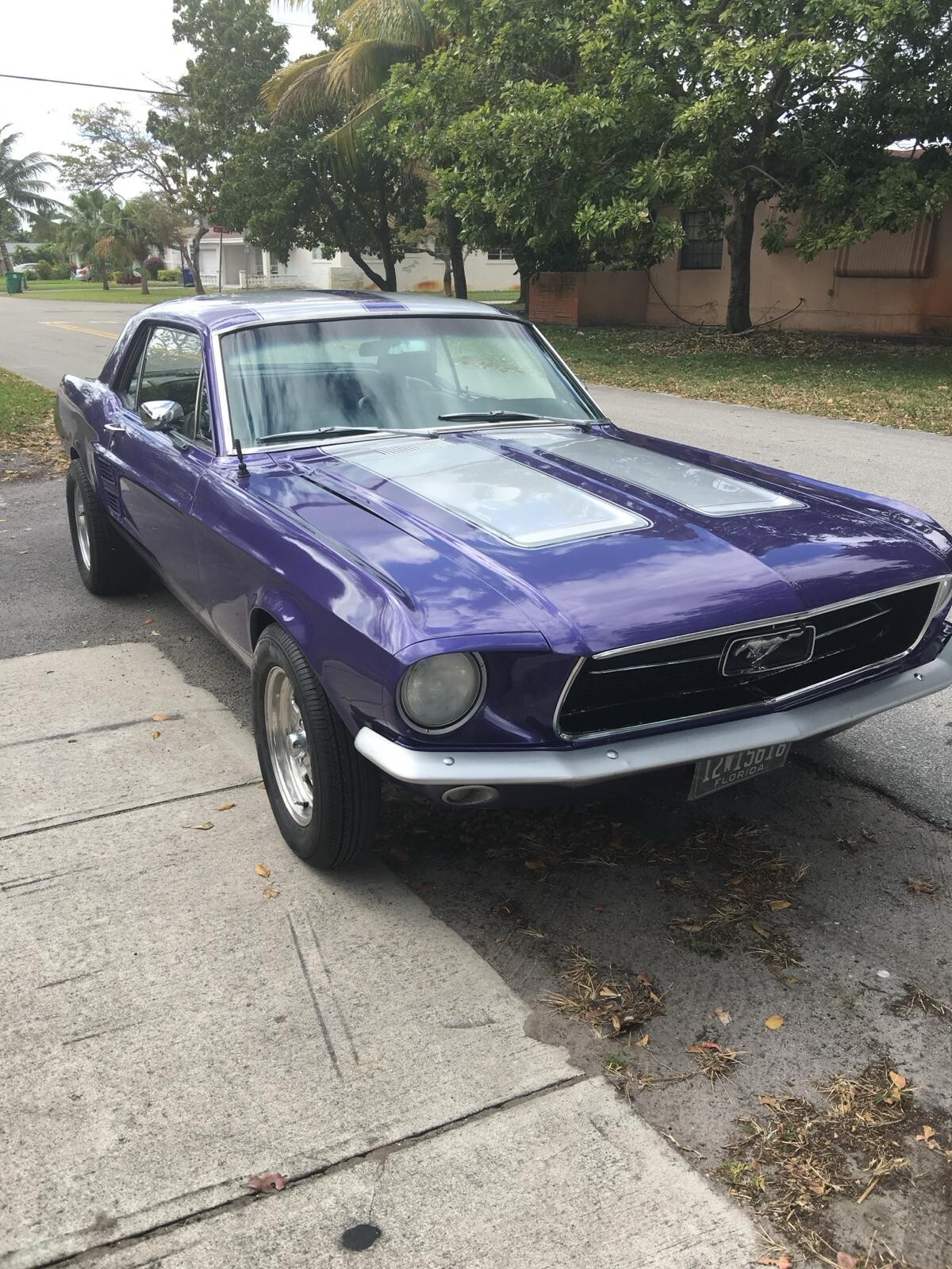 Ford Mustang 1967 Coupe