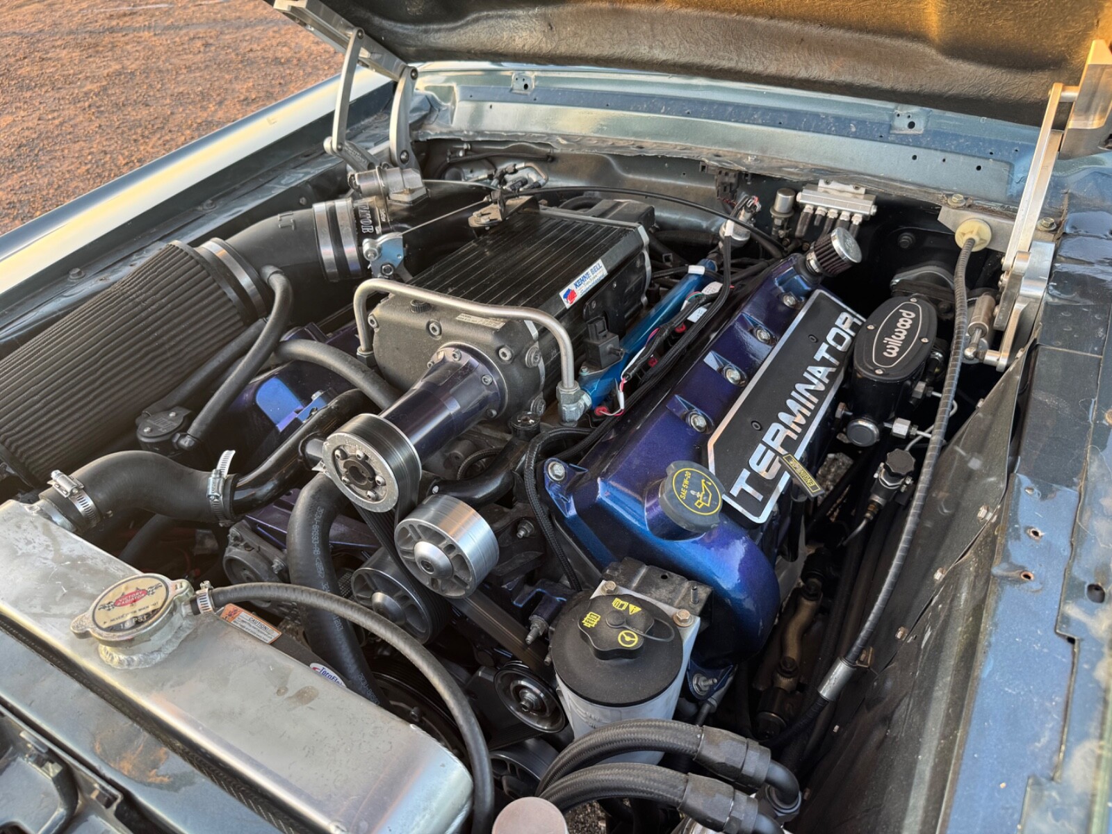 Ford-Mustang-1967-Coupe-7