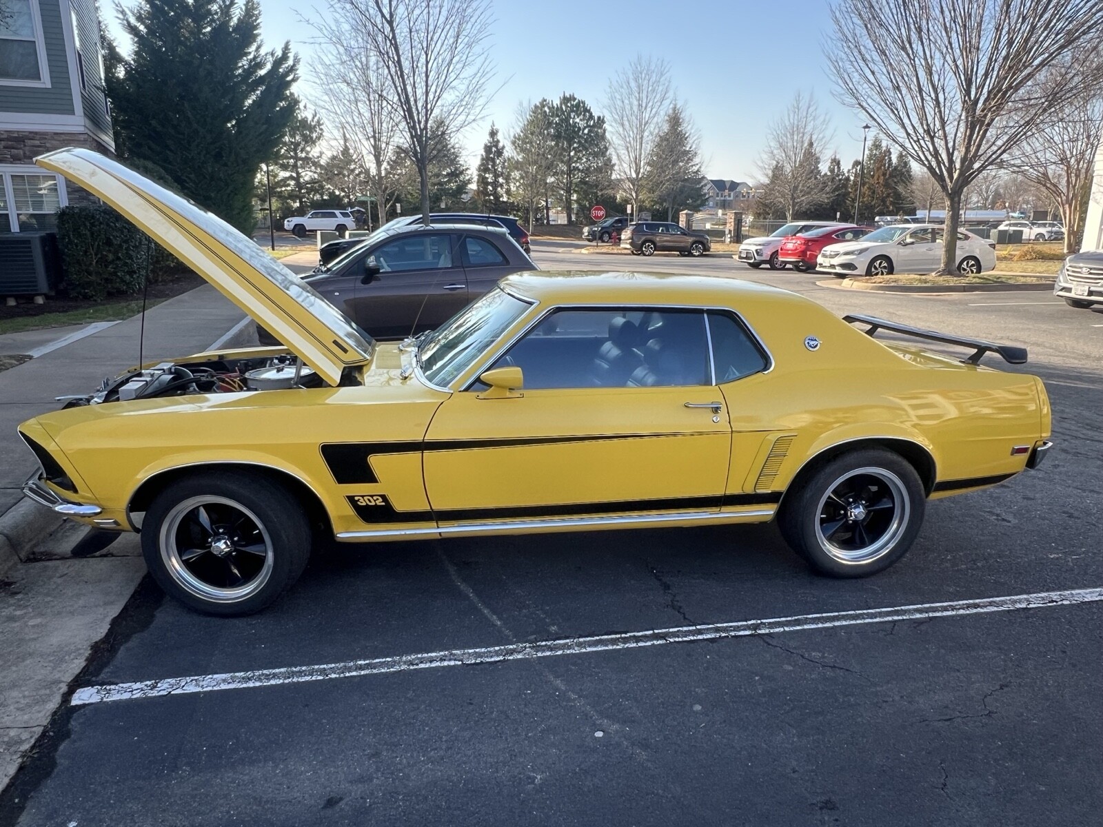Ford-Mustang-1969-1
