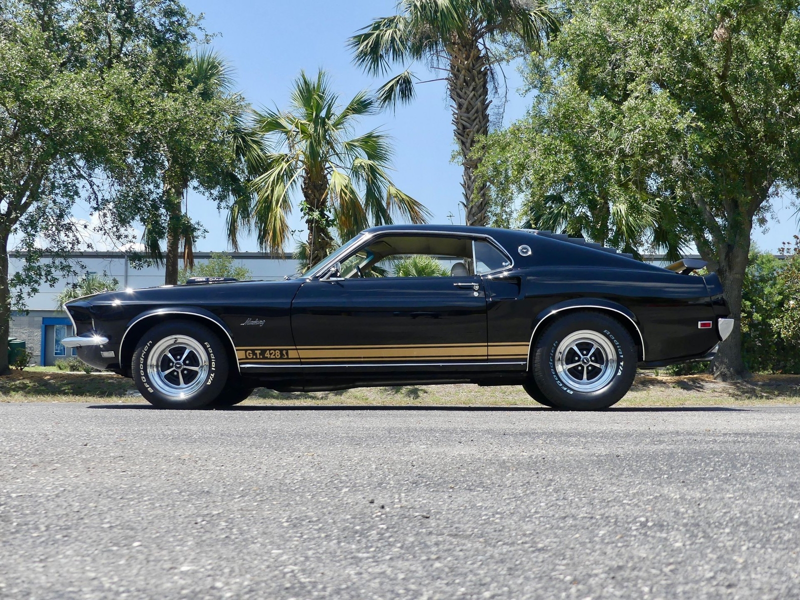 Ford-Mustang-1969-Other-11