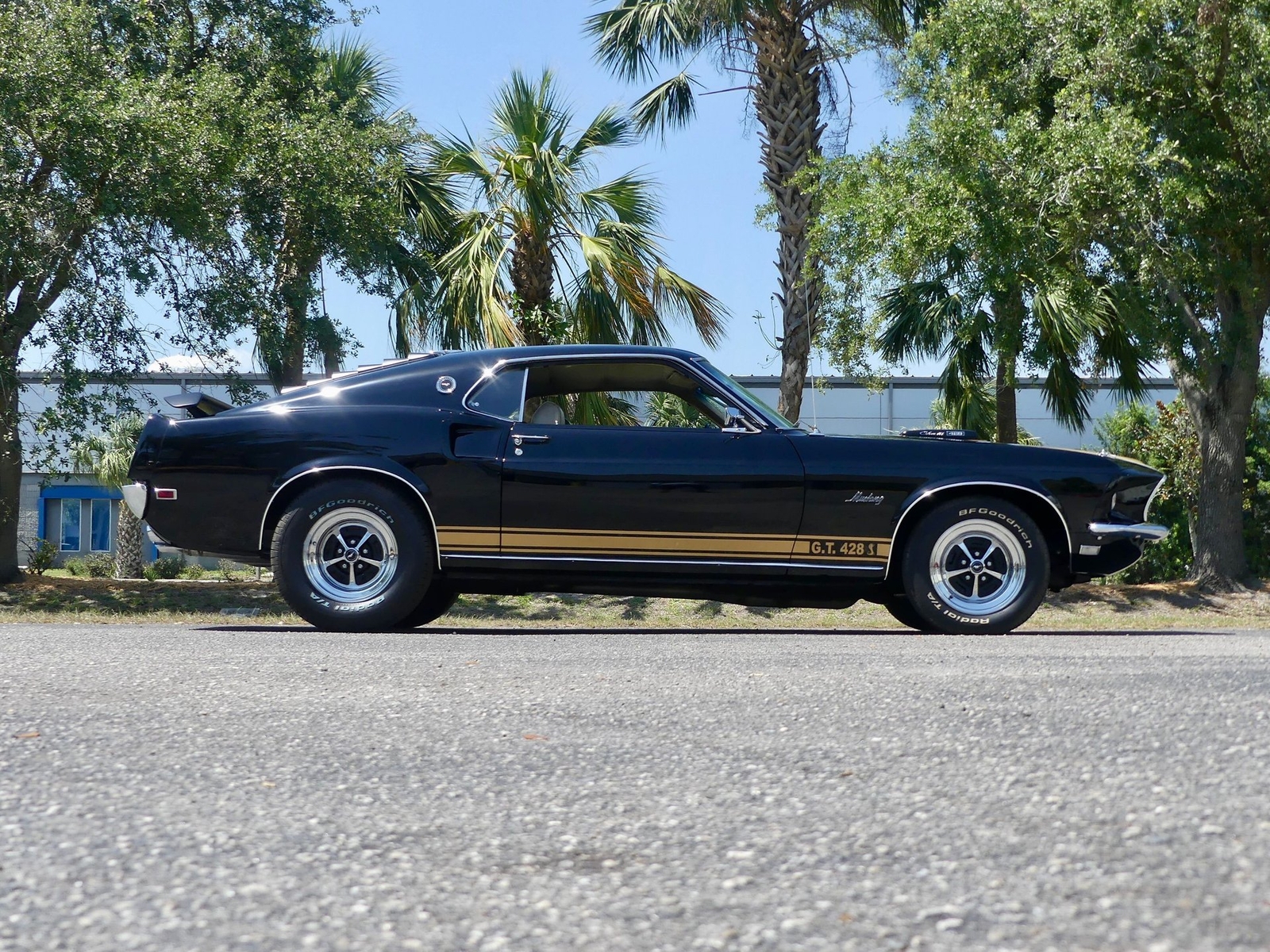 Ford-Mustang-1969-Other-22