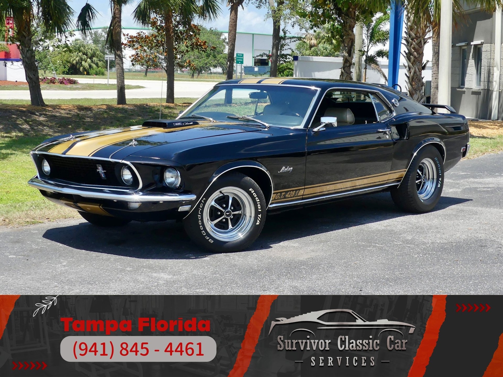 Ford Mustang 1969 Other