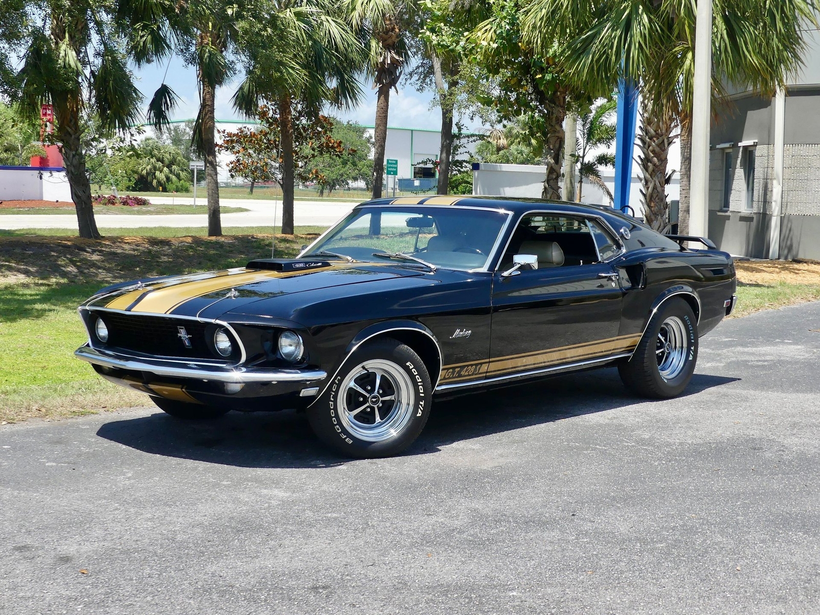 Ford-Mustang-1969-Other-6