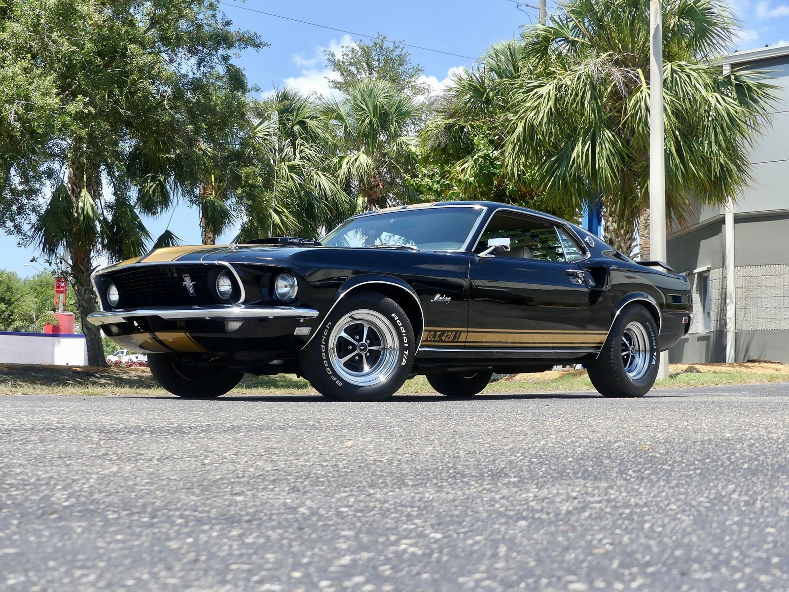 Ford-Mustang-1969-Other-8