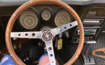 Ford-Mustang-1973-Convertible-10