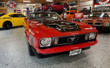 Ford-Mustang-1973-Convertible-16