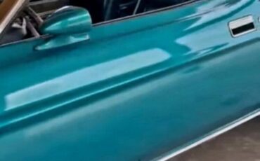 Ford-Mustang-1973-Convertible-30