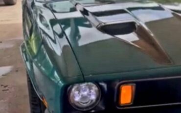 Ford-Mustang-1973-Convertible-32