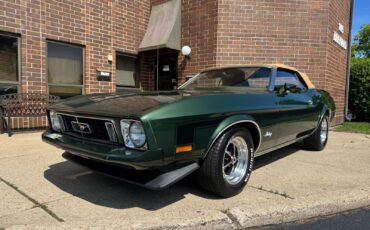 Ford-Mustang-1973-Convertible
