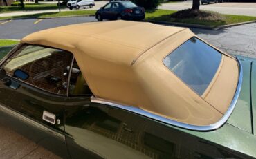 Ford-Mustang-1973-Convertible-8