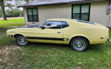 Ford-Mustang-1973-Fastback-1