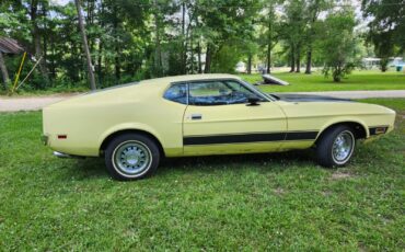 Ford-Mustang-1973-Fastback-2