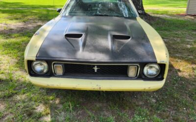 Ford Mustang 1973 Fastback