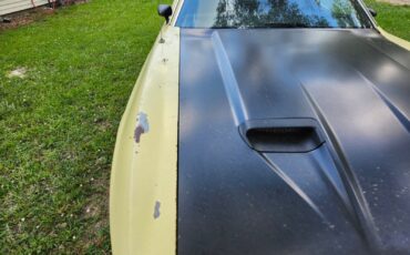 Ford-Mustang-1973-Fastback-6