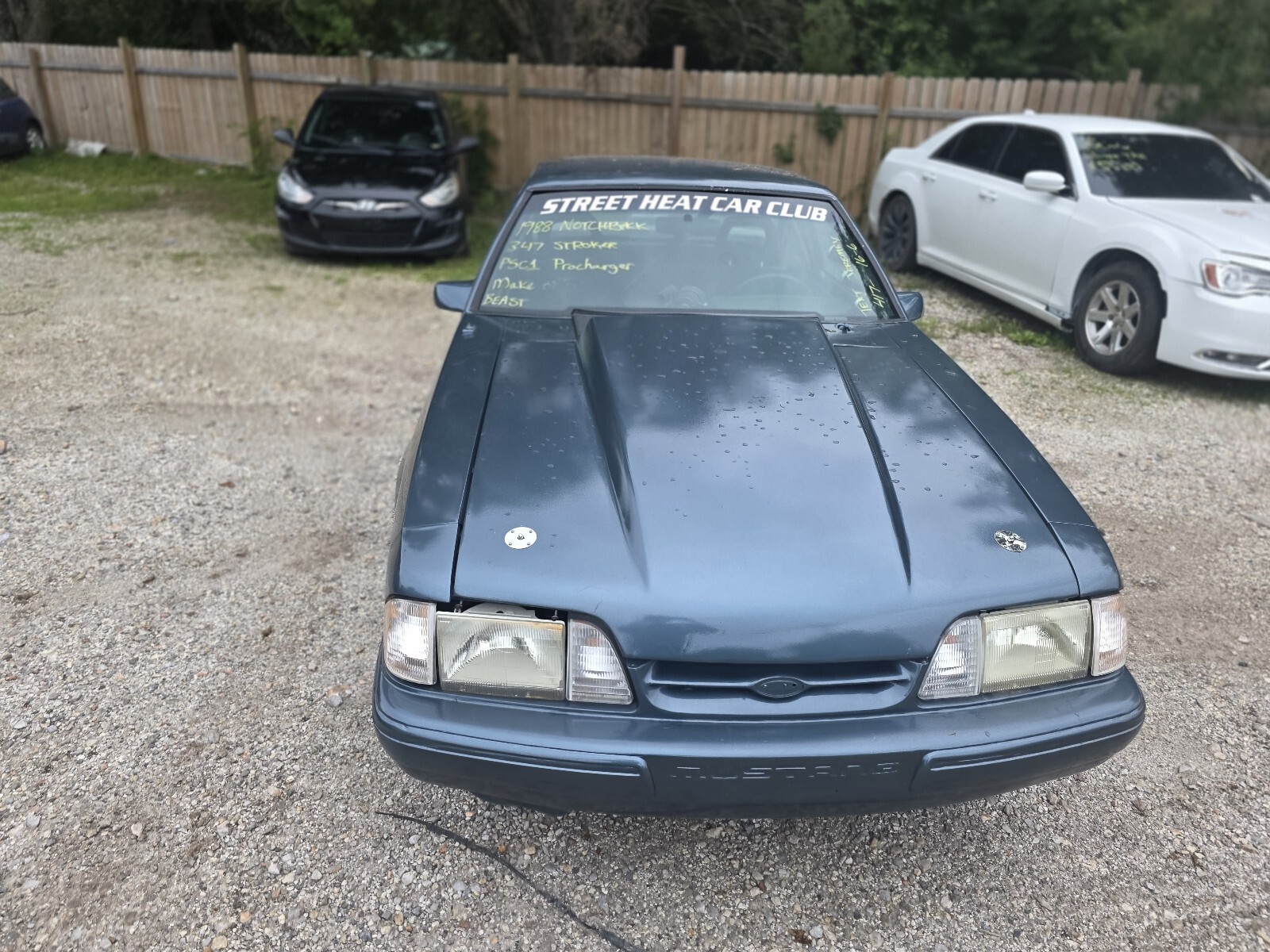 Ford-Mustang-1988-1