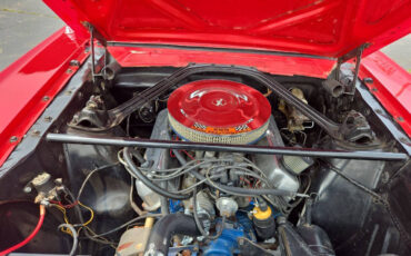 Ford-Mustang-Custom-Fastback-1965-Coupe-15