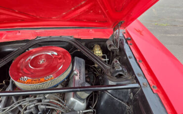 Ford-Mustang-Custom-Fastback-1965-Coupe-17