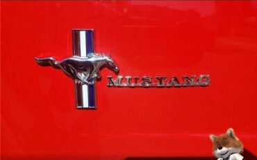 Ford-Mustang-Flat-6-1966-Coupe-8