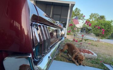 Ford-Mustang-convertible-1966-custom-1