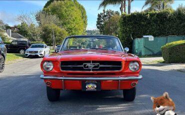 Ford-Mustang-convertible-v8-1965-3