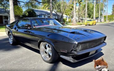 Ford-Mustang-fastback-1971-8