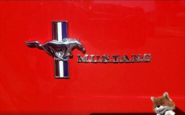 Ford-Mustang-flat-6-1966-7