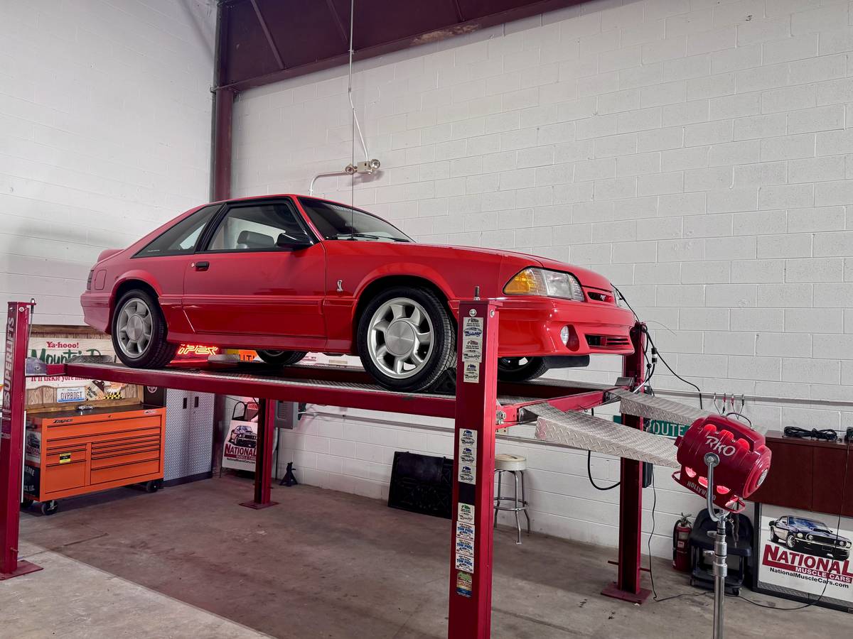Ford Mustang svt cobra  1993