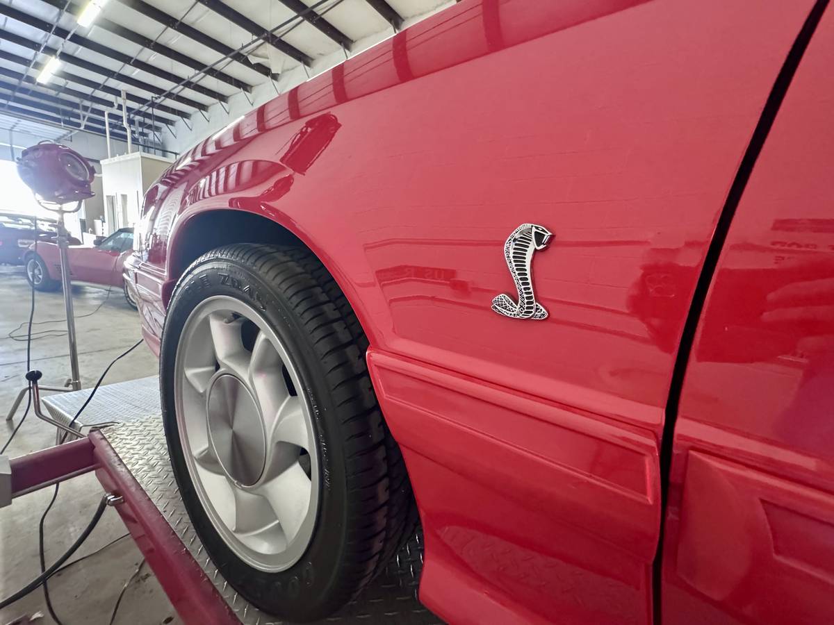 Ford-Mustang-svt-cobra-1993-7