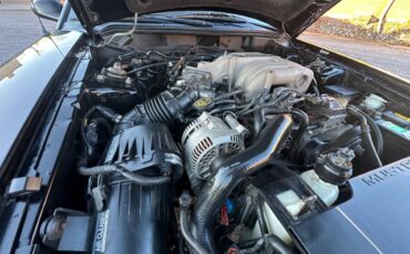 Ford-Mustang-svt-cobra-1995-black-13