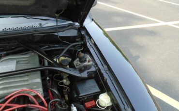 Ford-Mustang-svt-cobra-1995-black-20