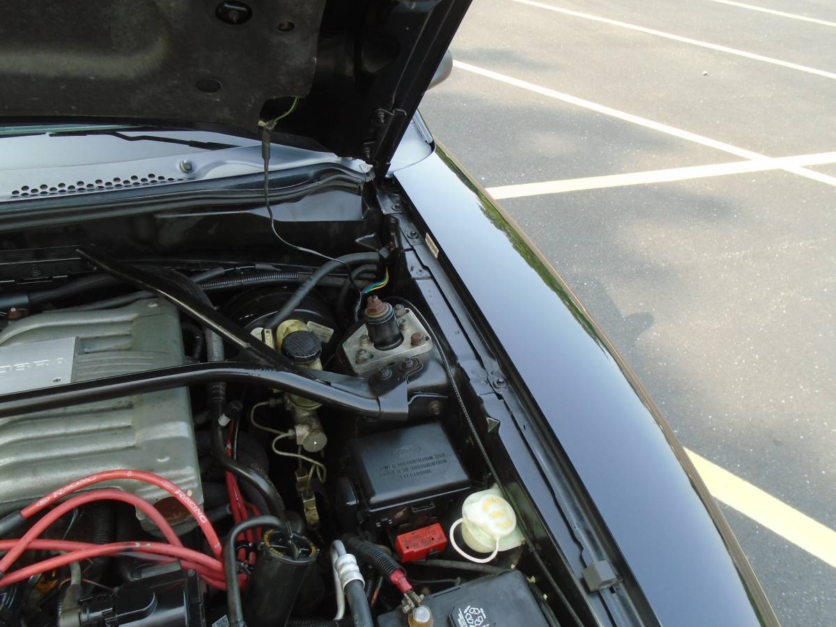 Ford-Mustang-svt-cobra-1995-black-20
