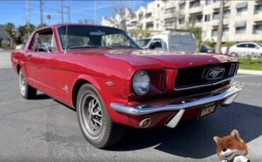 Ford-Mustang-v8-289-cu-1966-5