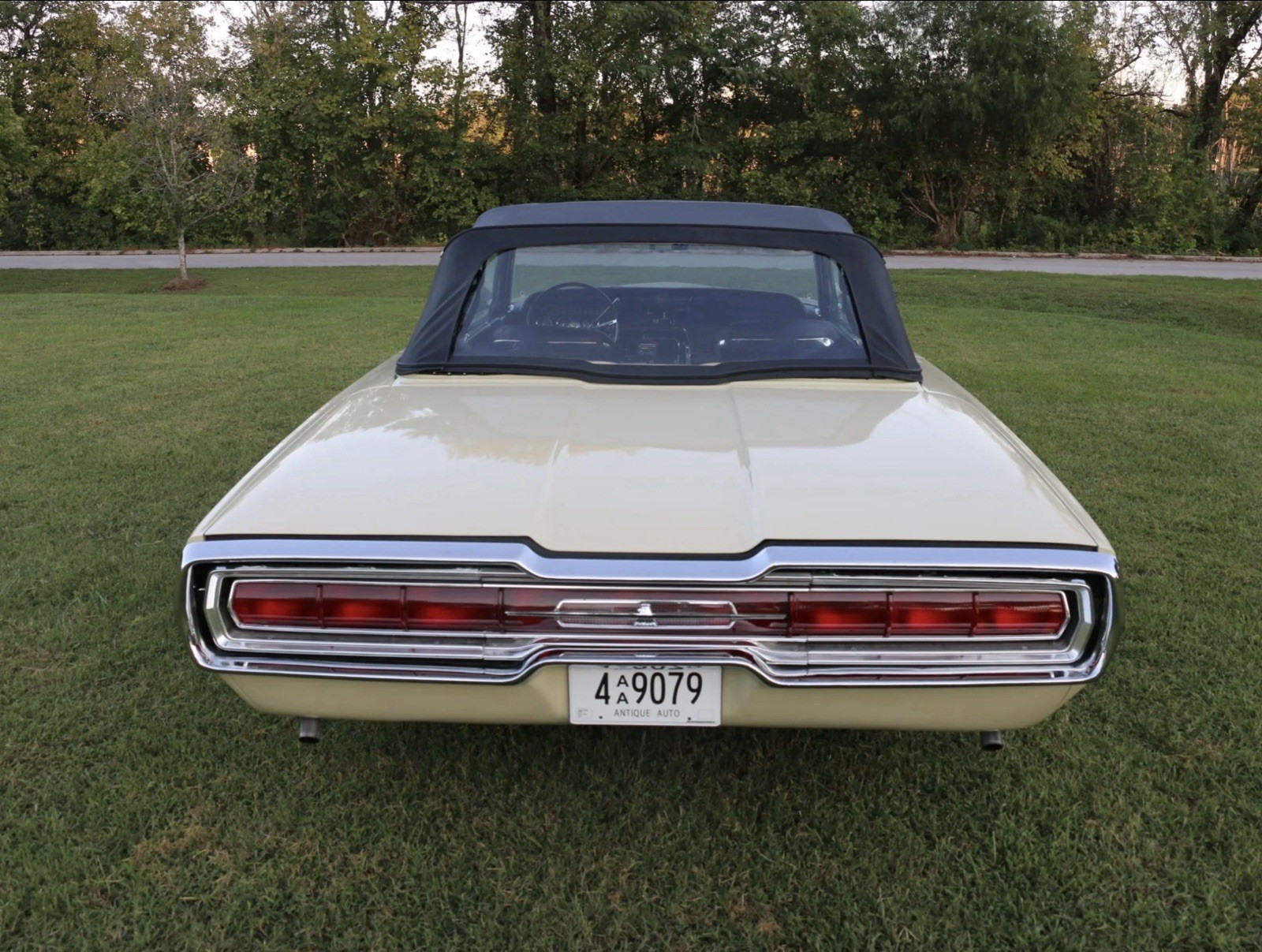 Ford-Other-1966-Convertible-2