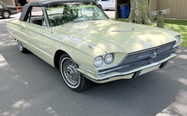 Ford-Other-1966-Convertible-3