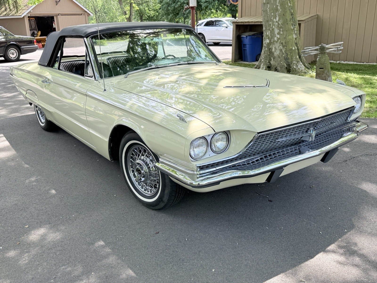 Ford-Other-1966-Convertible-3