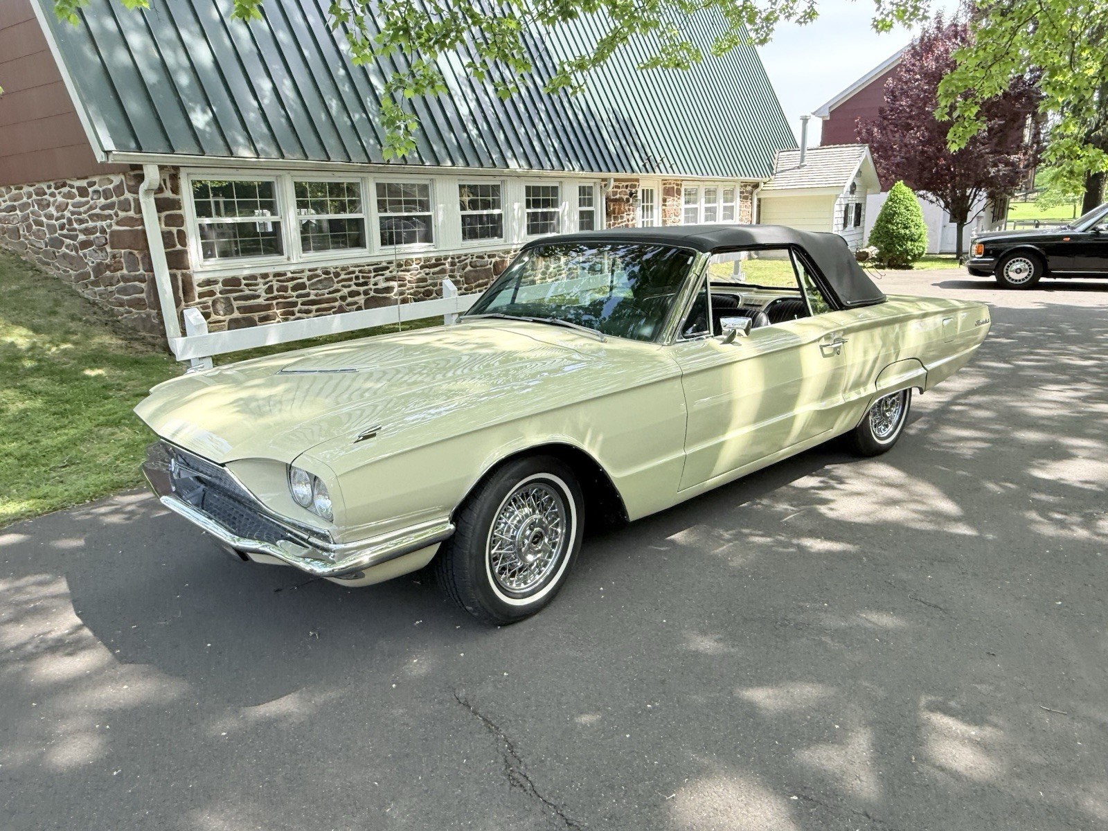 Ford-Other-1966-Convertible-4