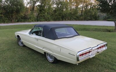 Ford Other 1966 Convertible