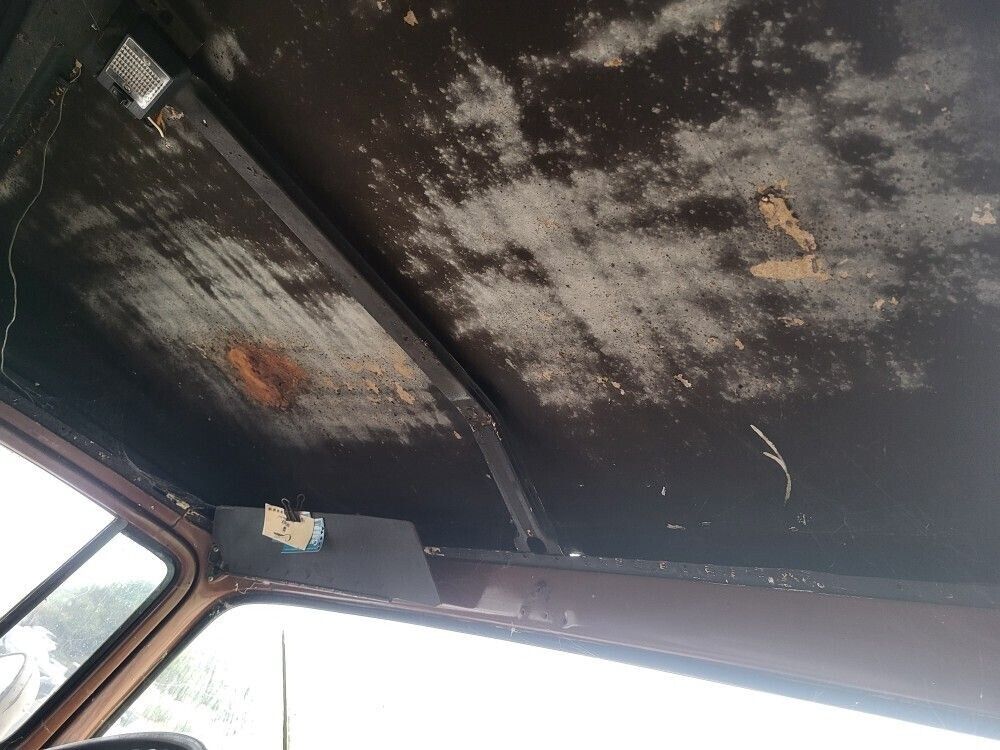 Ford-Panel-Truck-1959-8