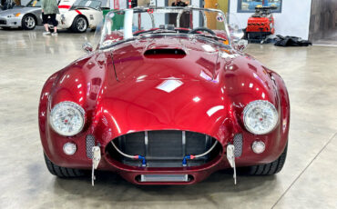 Ford-Shelby-Cobra-1965-Other-1